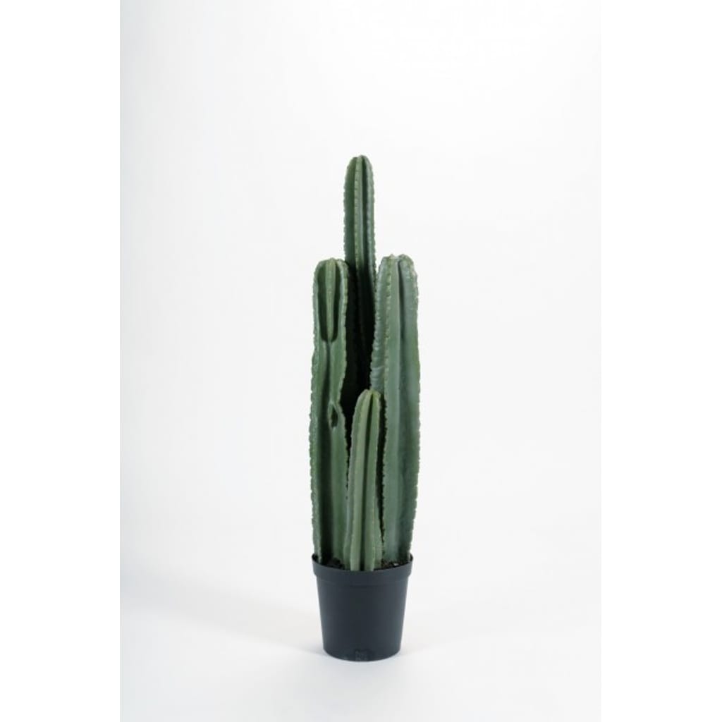 Kaktus 97cm