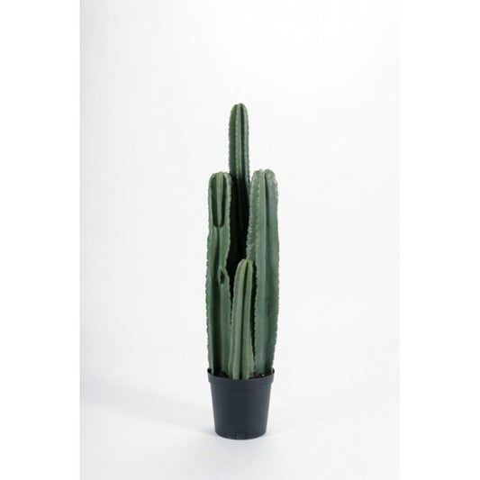 Kaktus 97cm