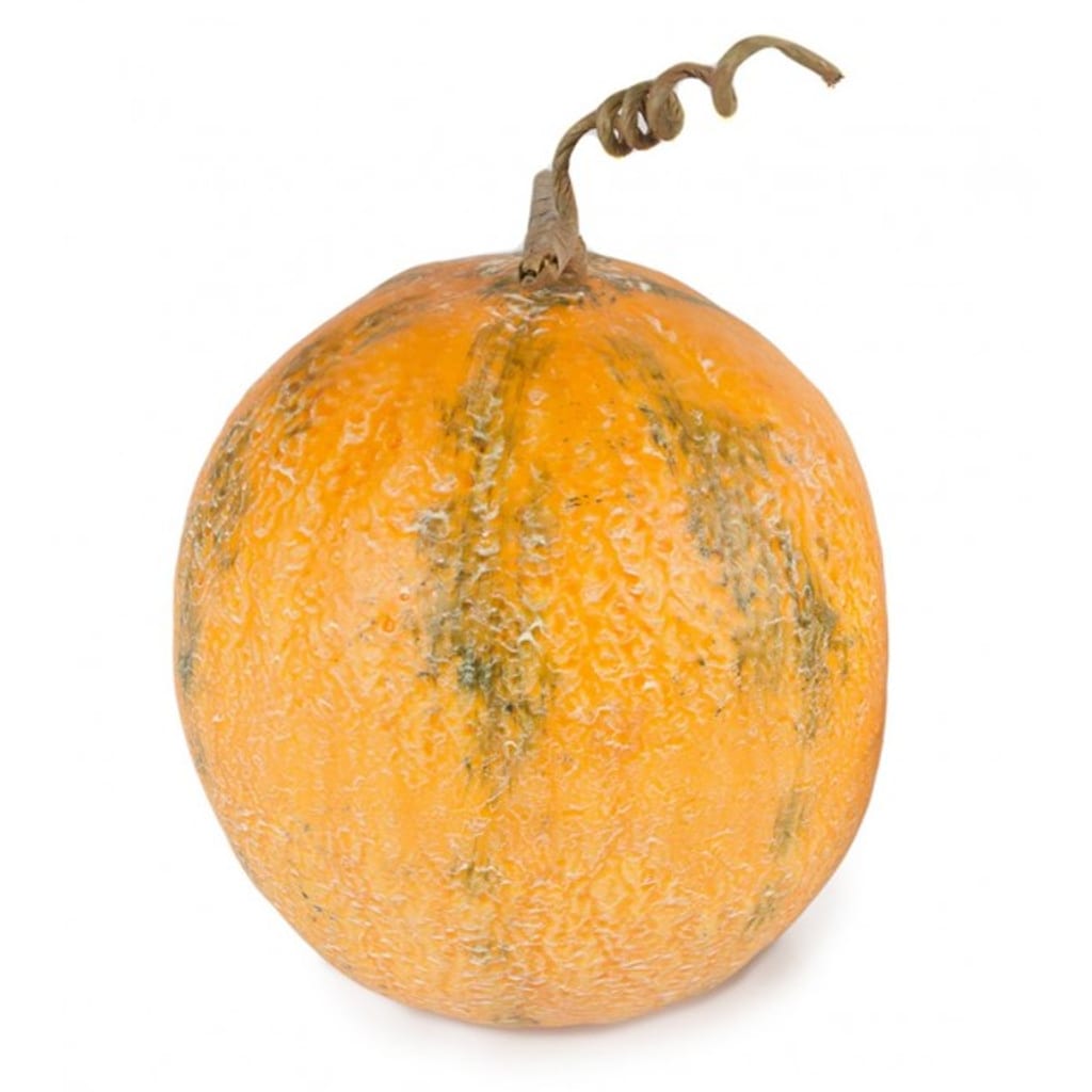 Melon