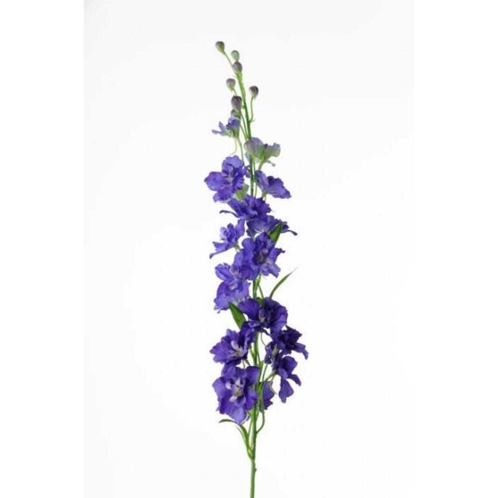 Delphinium 90cm