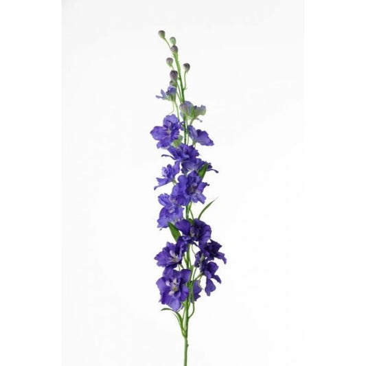 Delphinium 90cm