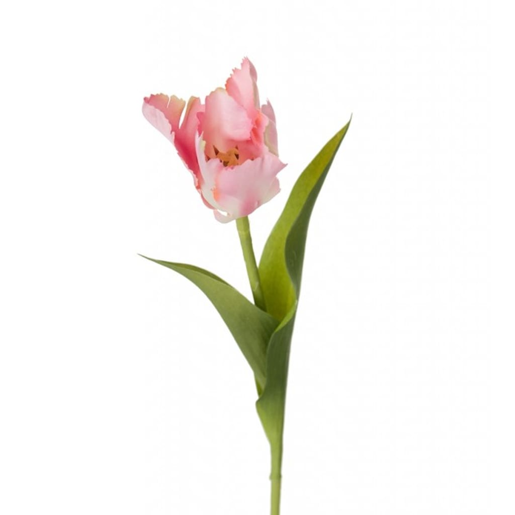 Tulipan 37cm