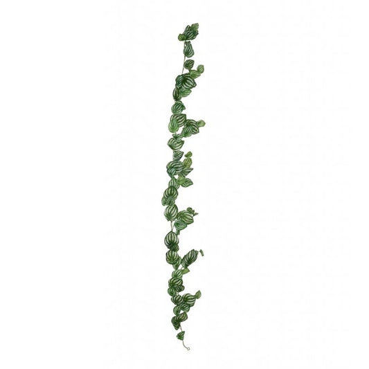 Peperomiagirlang 180cm grønn