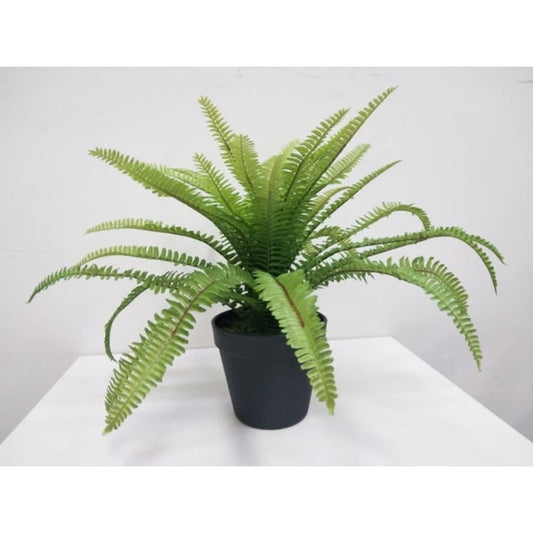 Ormegress 45cm