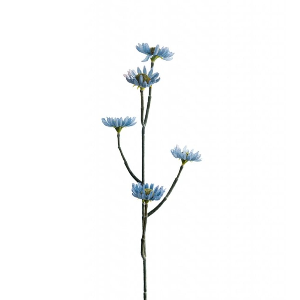 Eternell 50cm blå