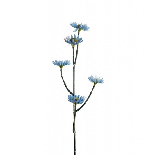 Eternell 50cm blå