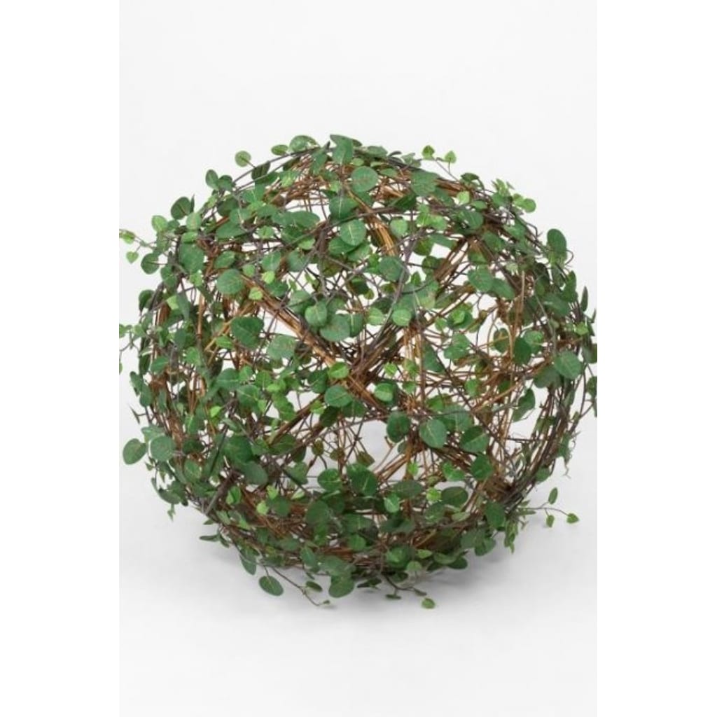 Muehlenbeckia ball 30cm