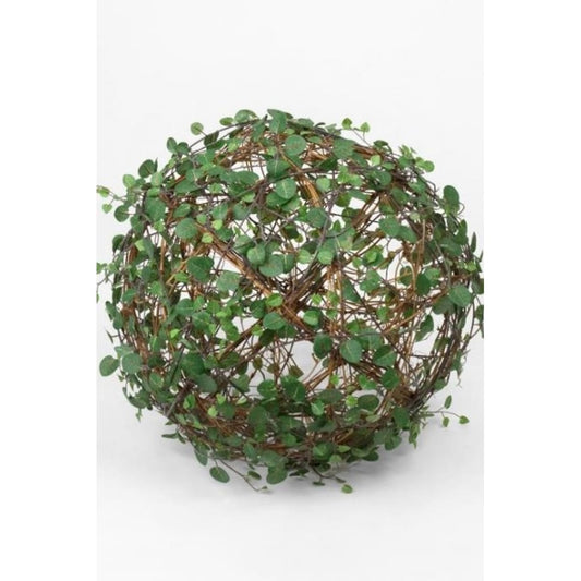 Muehlenbeckia ball 30cm