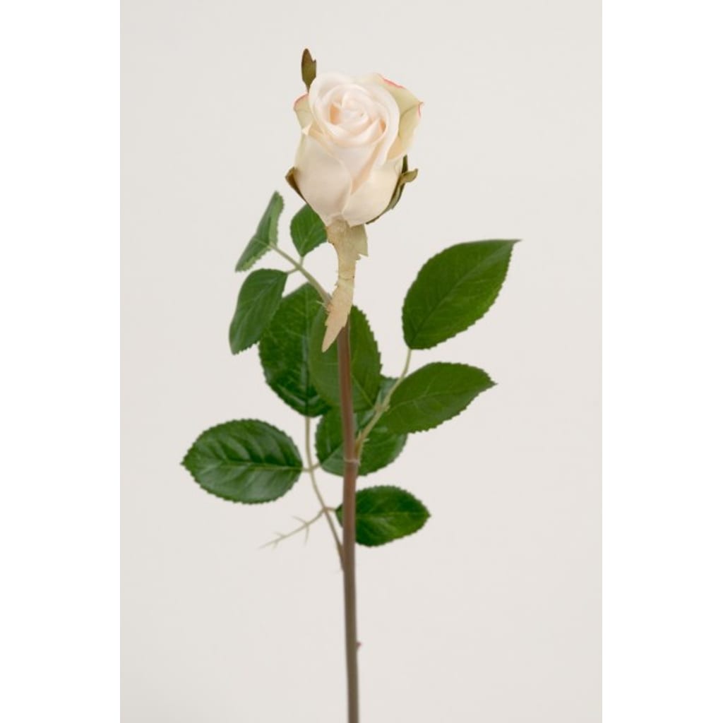 Rose 50cm Hvit