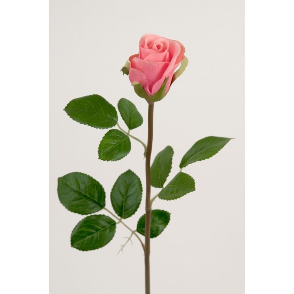 Rose 50cm Rosa