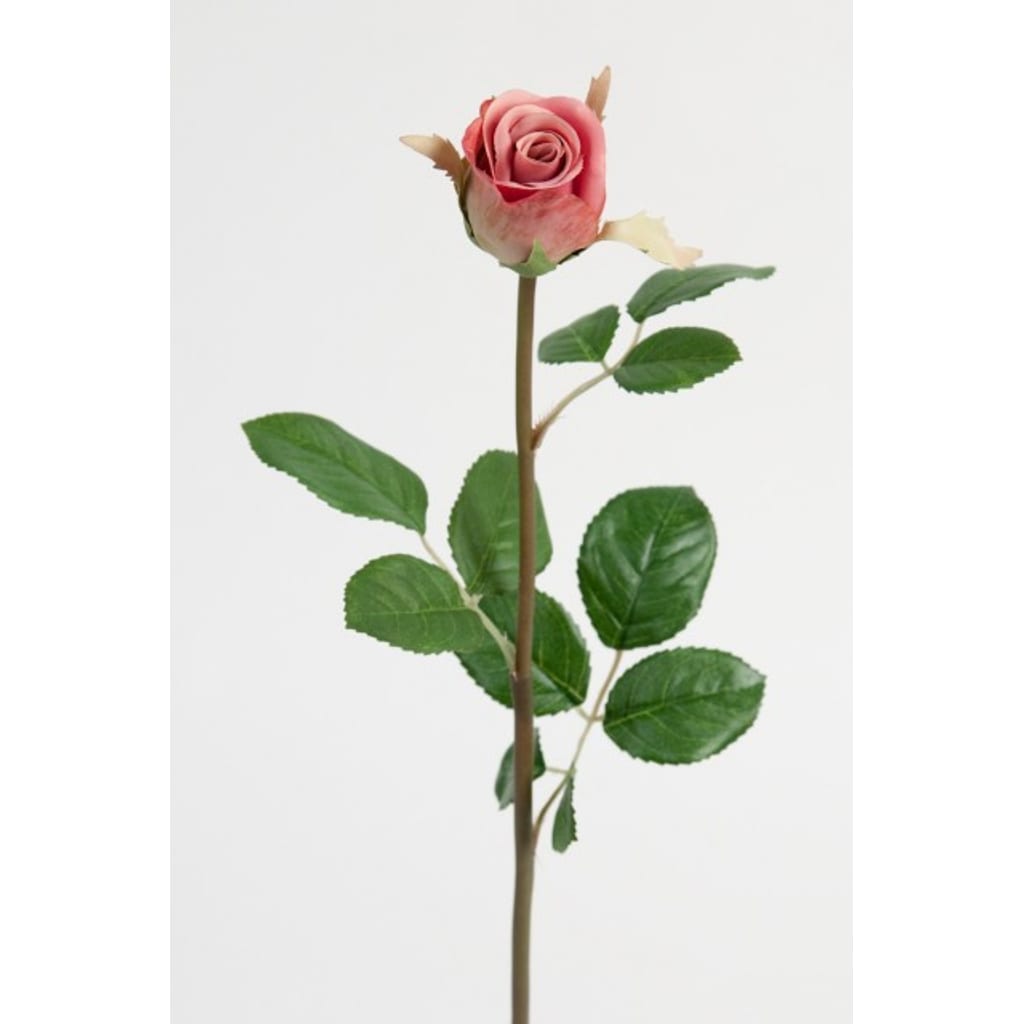 Rose 50cm Rosa