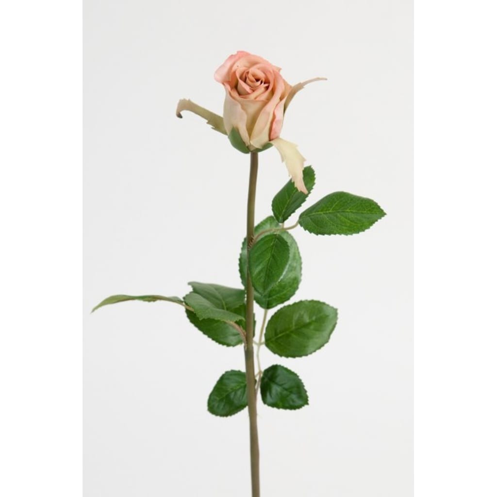 Rose 50cm Rosa