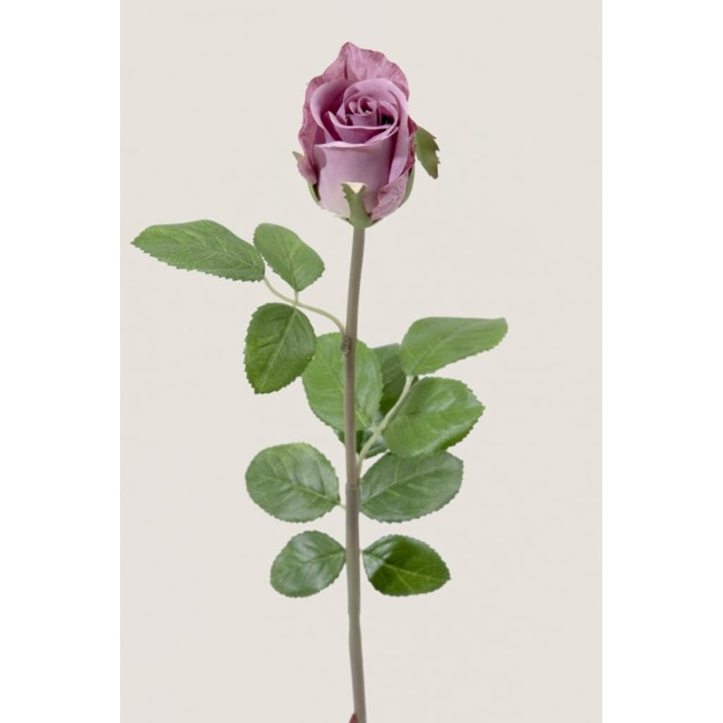 Rose 50cm Lilla