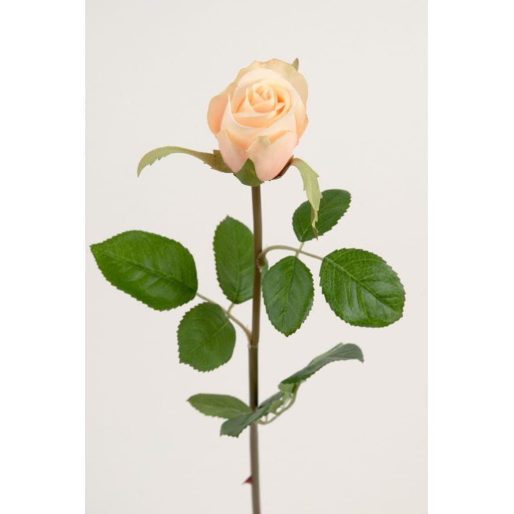 Rose 50cm Gul