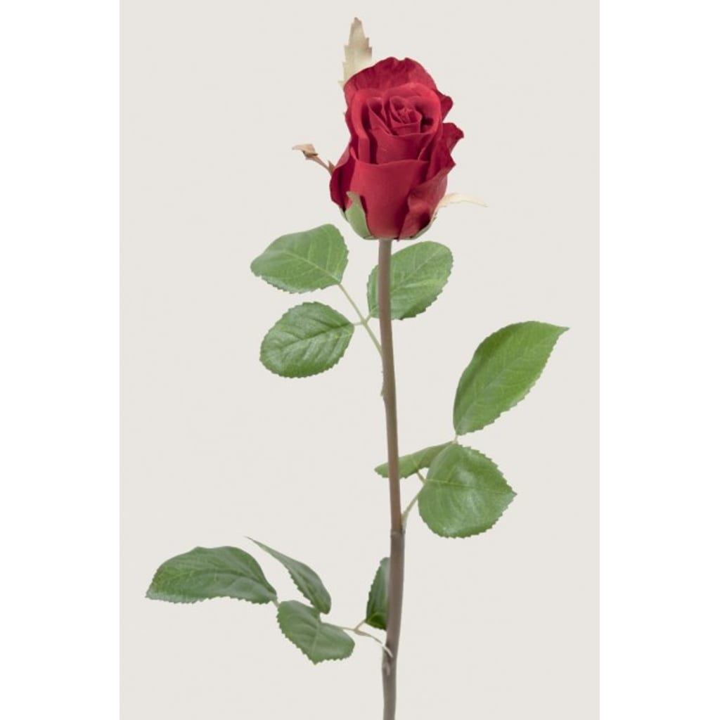 Rose 50cm Rød