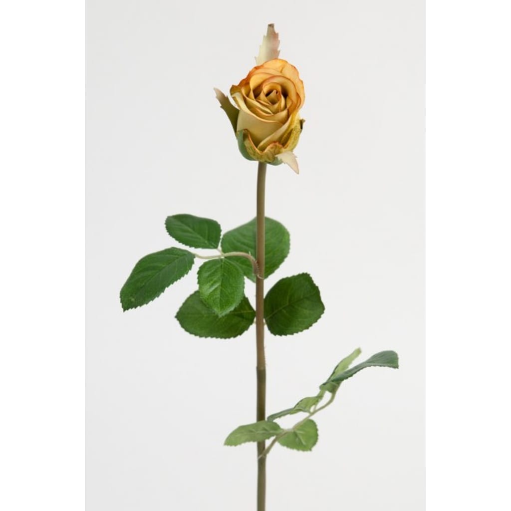 Rose 50cm Grønn