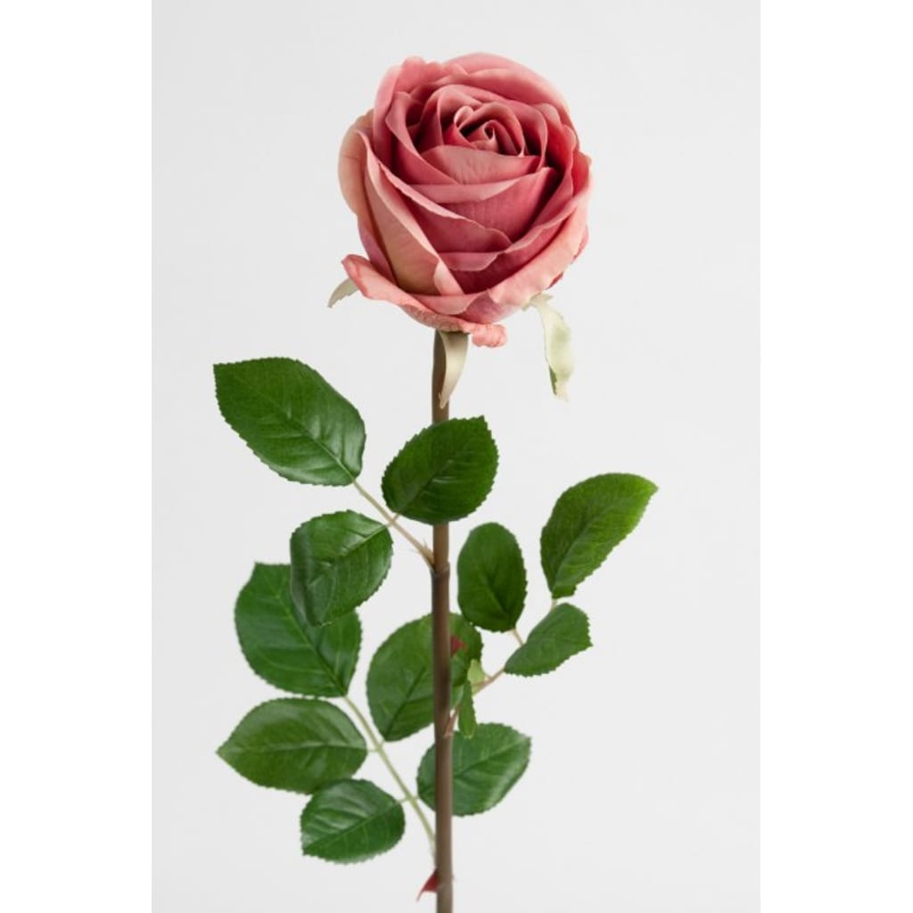 Rose 75cm Rosa