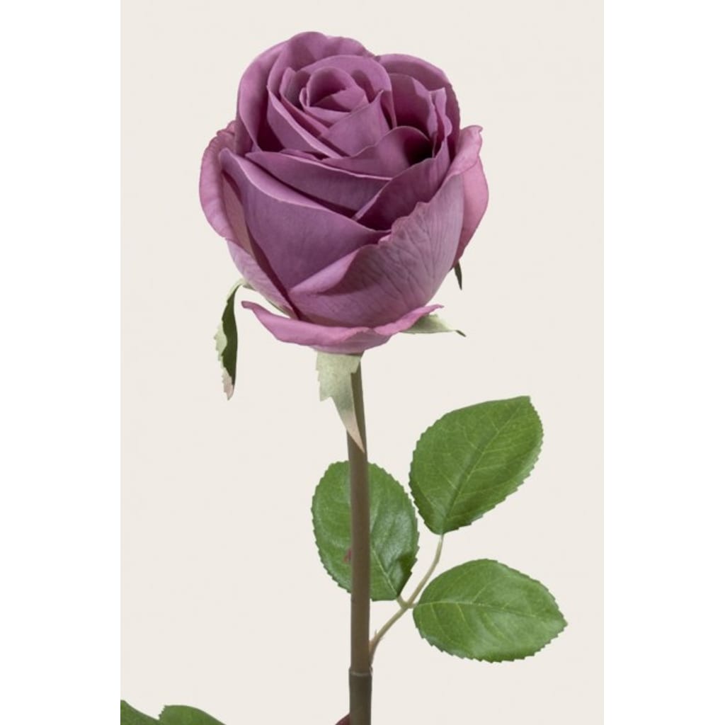 Rose 75cm Lilla
