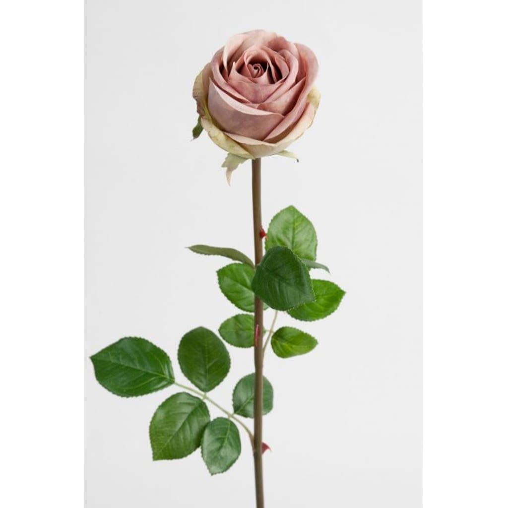 Rose 75cm Lilla