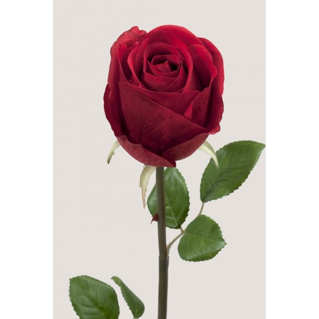 Rose 75cm Rød