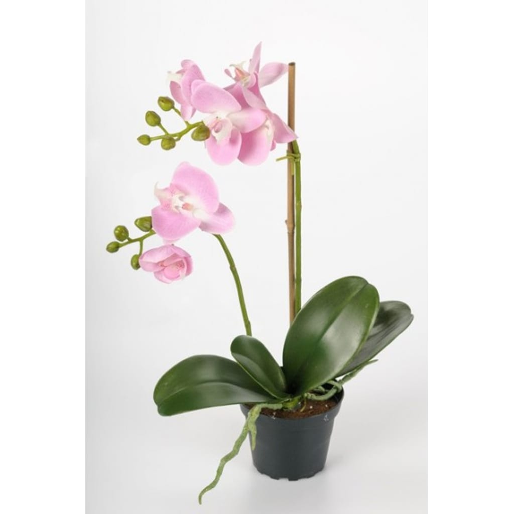 Phalaenopsis 45cm Rosa