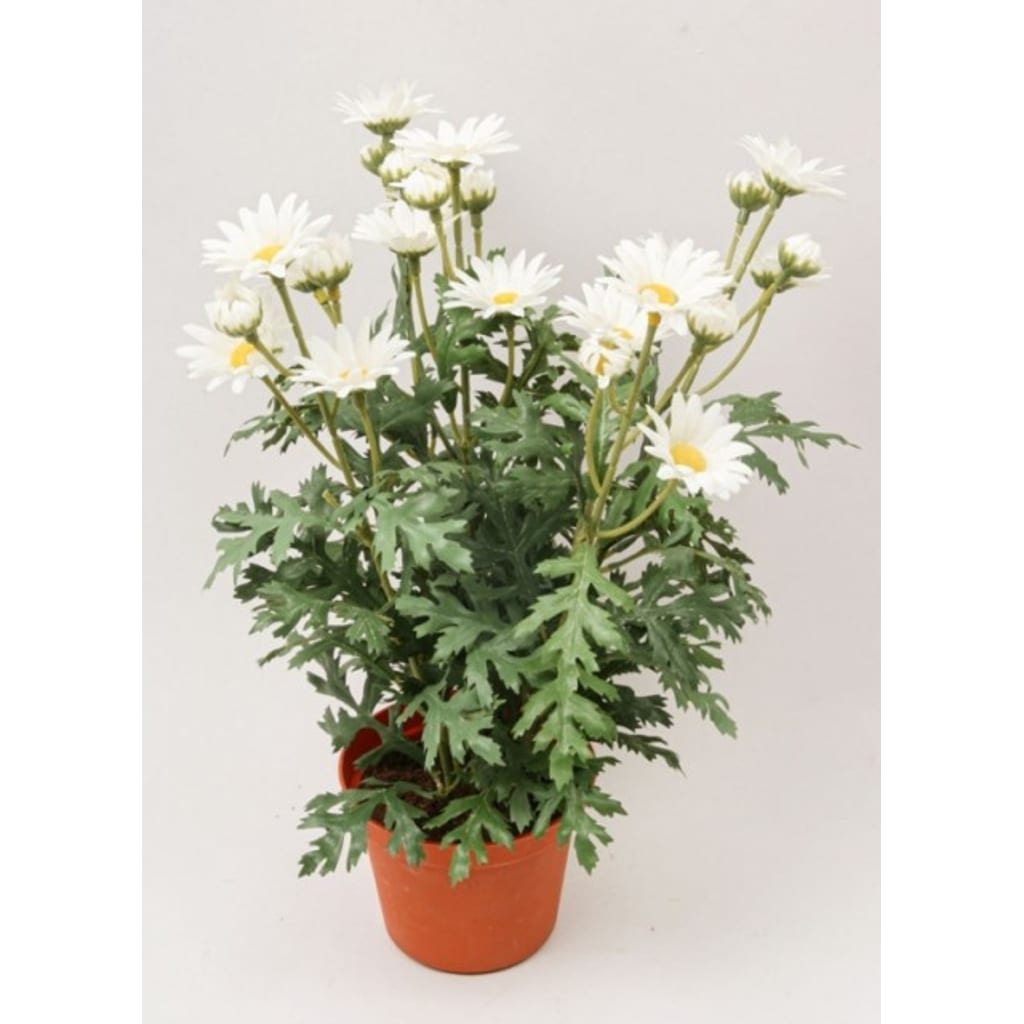 Margeritt