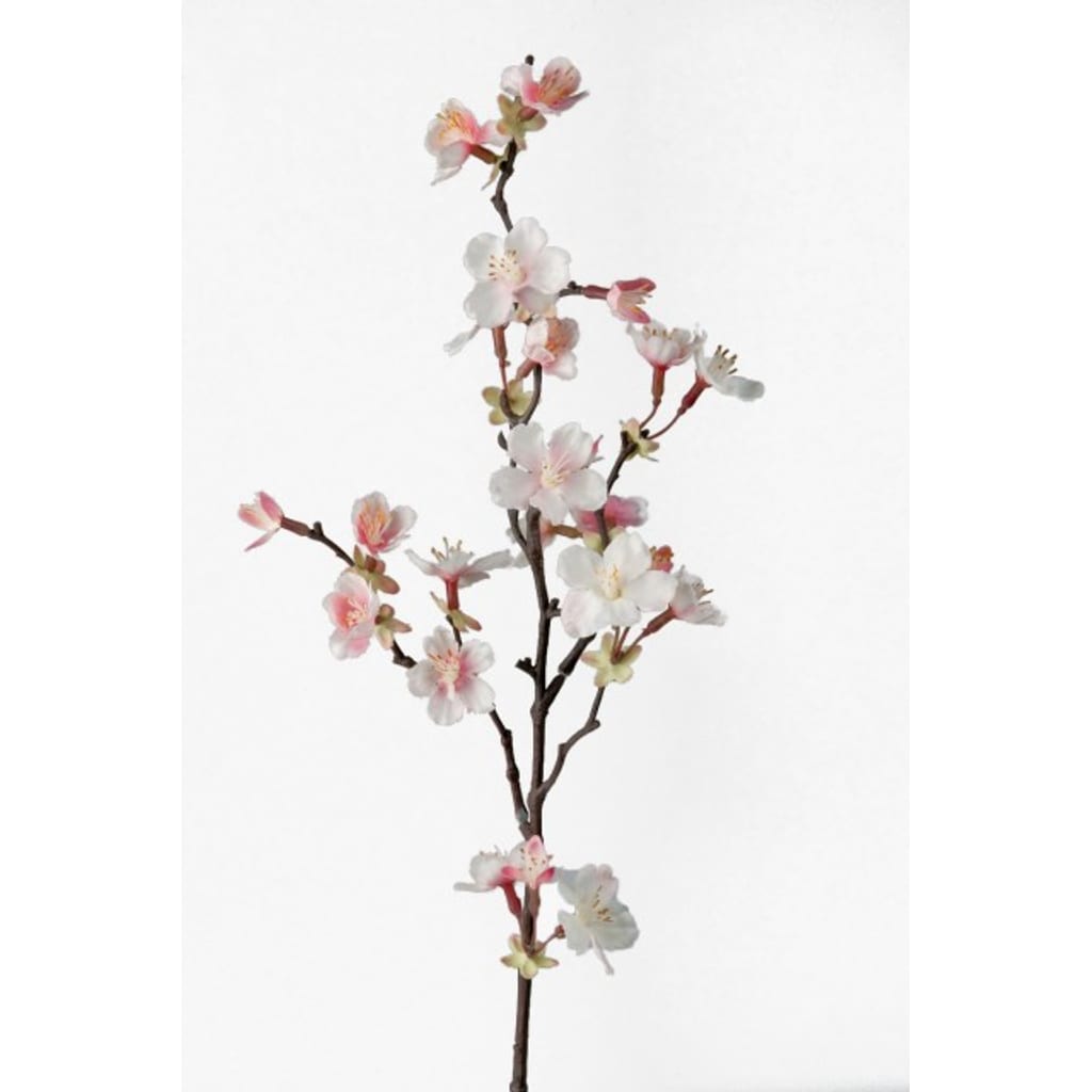 Kirsebærskvist rosa
