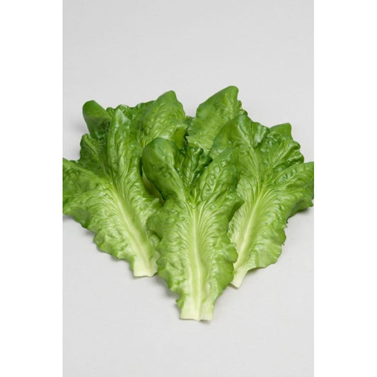 Salatblader 6 stk.