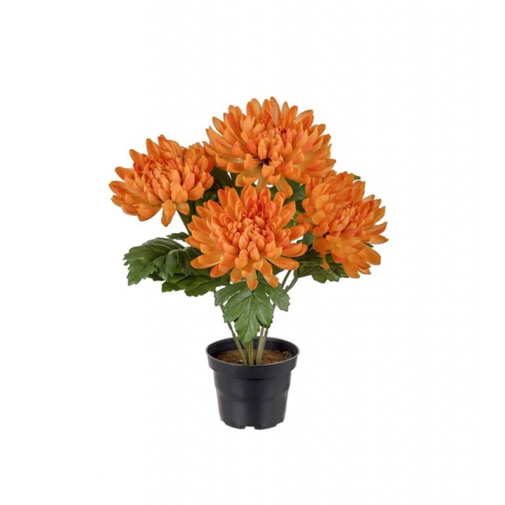 Krysantemum 30cm oransje