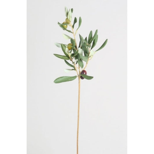 Olivenkvist 55cm
