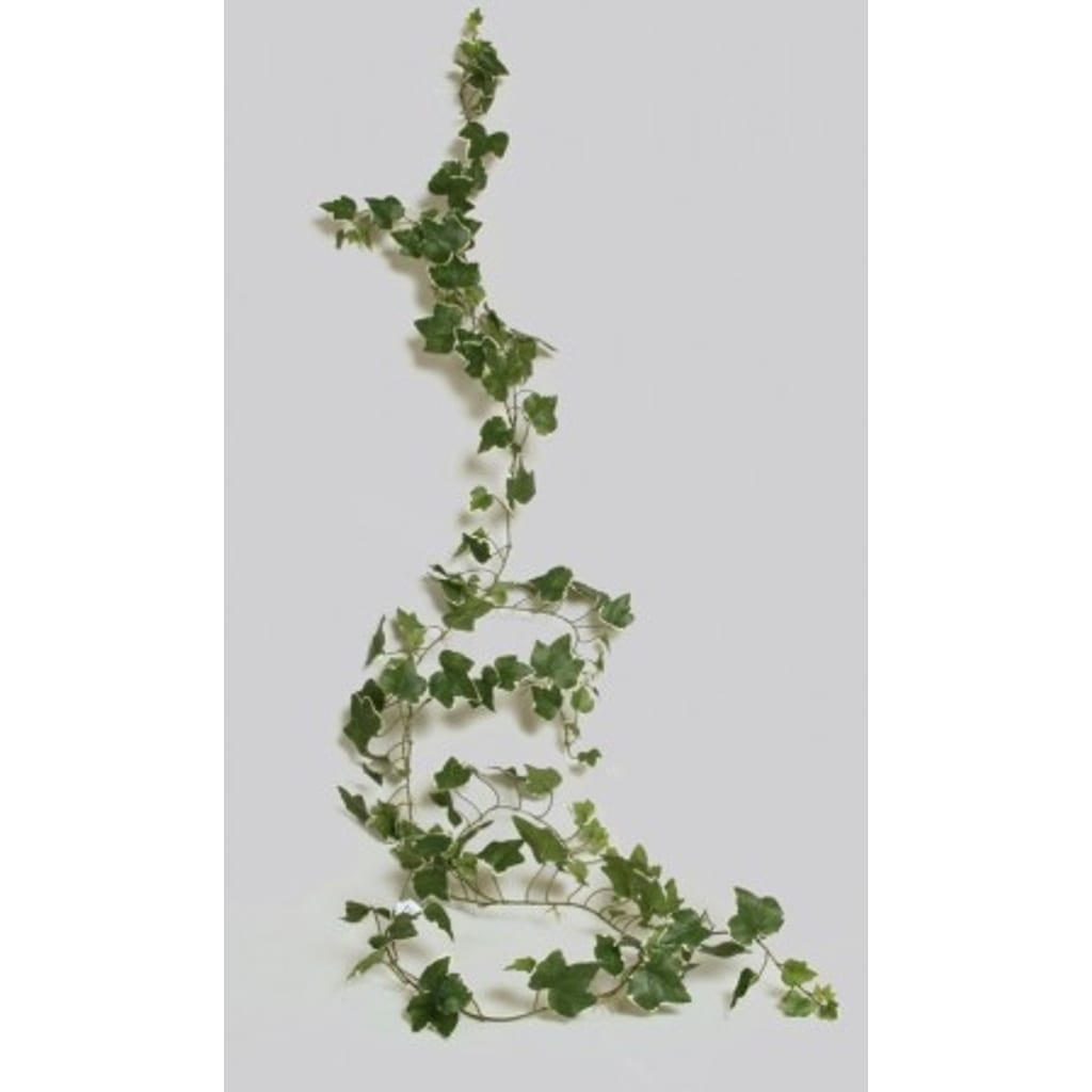 Eføygirlang 205cm Grønn/Hvit- Tåler sollys