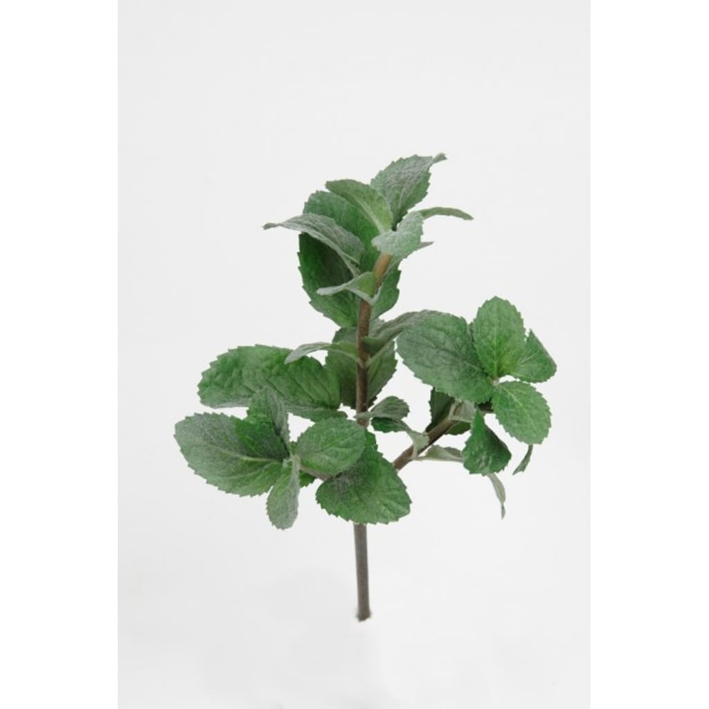 Mynte 25cm