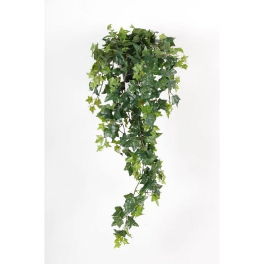 Eføy 85cm mørk