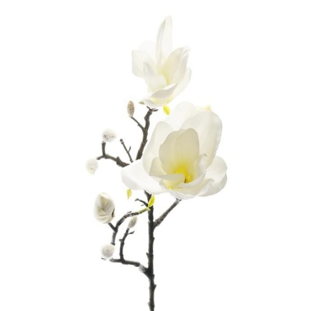 Magnolia Hvit 60cm