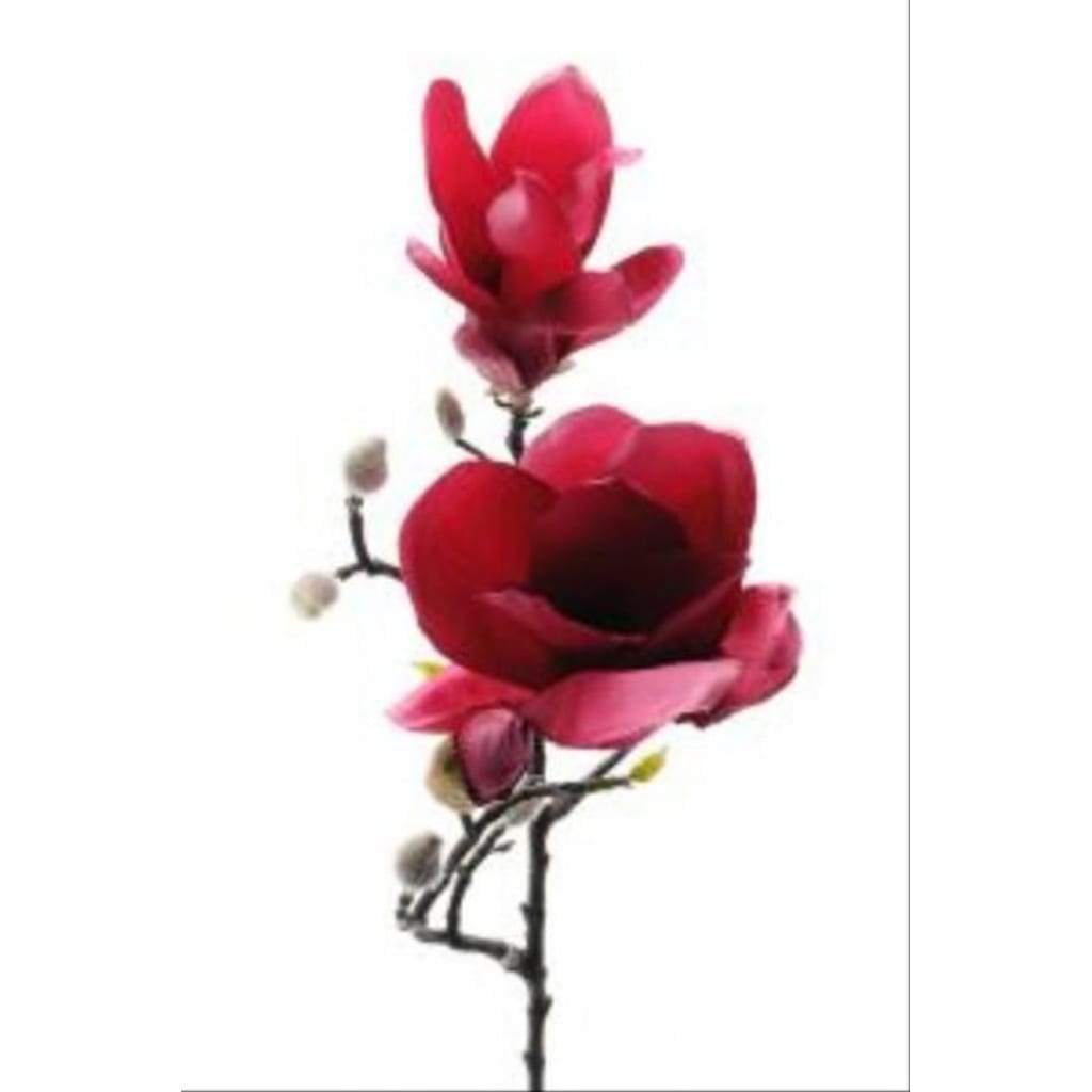 Magnolia Mørk Rosa 60cm