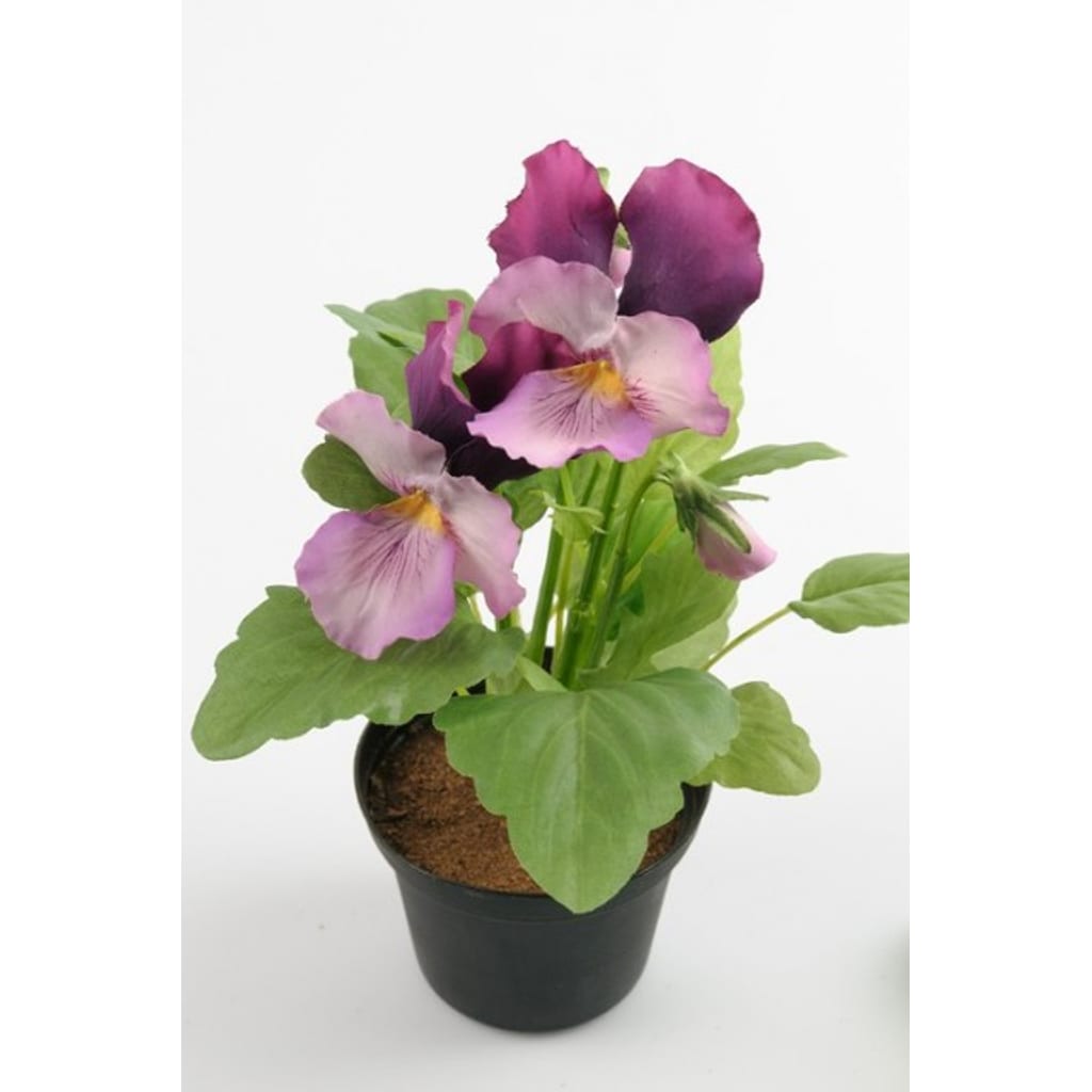 Pensé 23cm Rosa