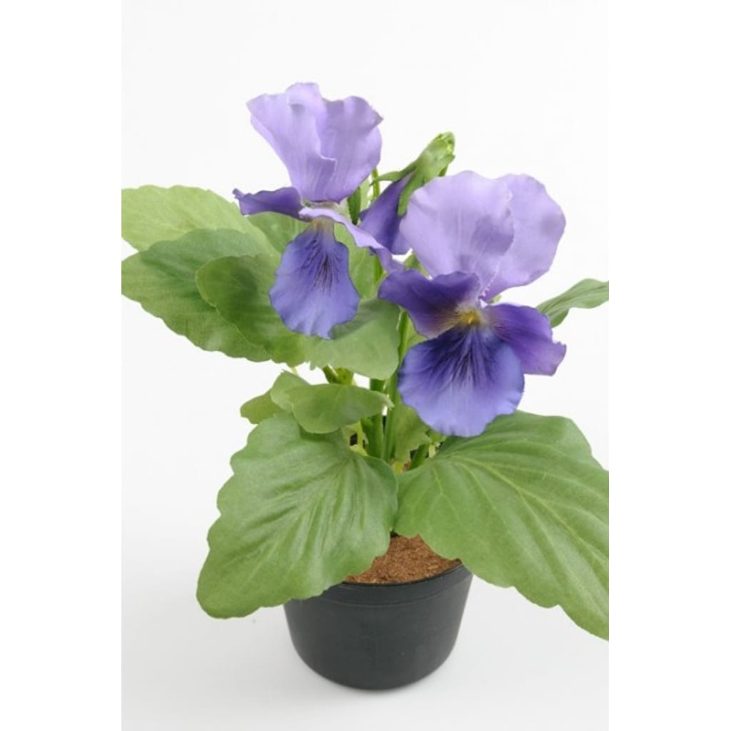 Pensé 23cm Lilla