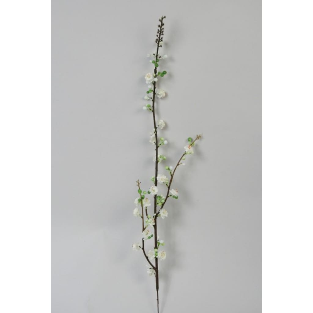 Epleblomst 49cm