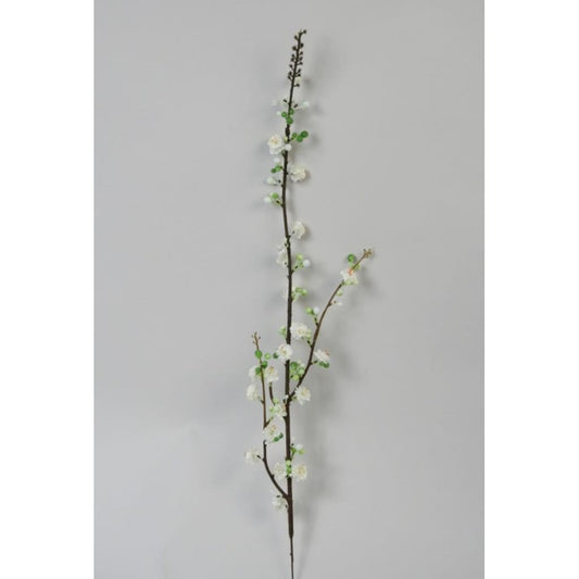 Epleblomst 49cm