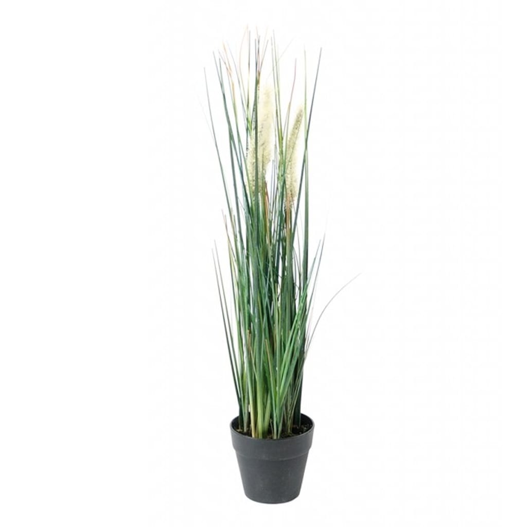 Gress 50cm