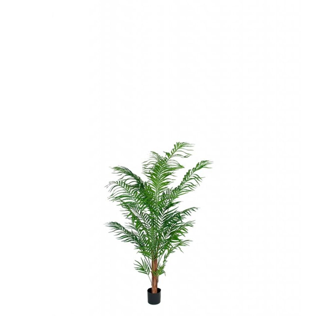 Areca Palme 120cm