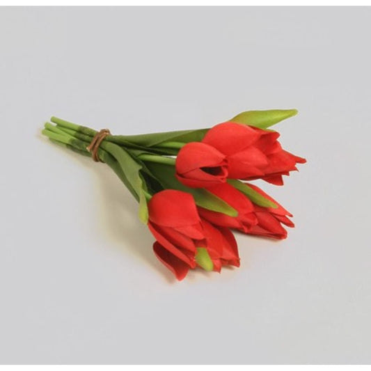 Tulipanbukett 20cm rød