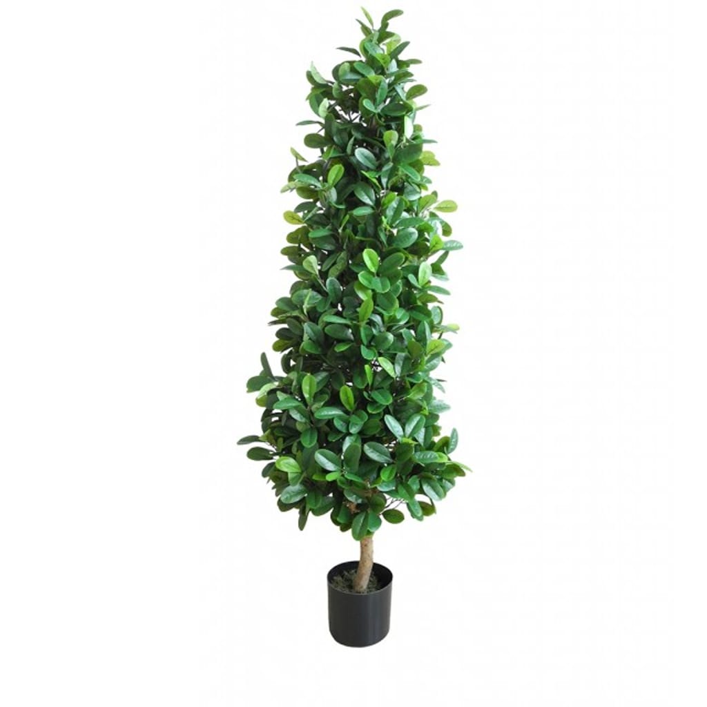 Fikus 150cm