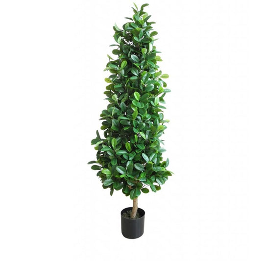 Fikus 150cm