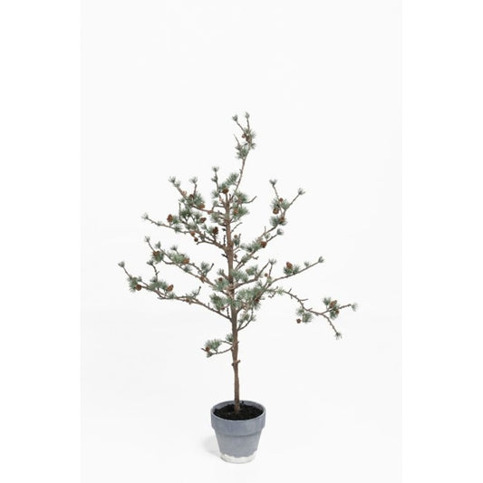 Lerketre i potte 100cm