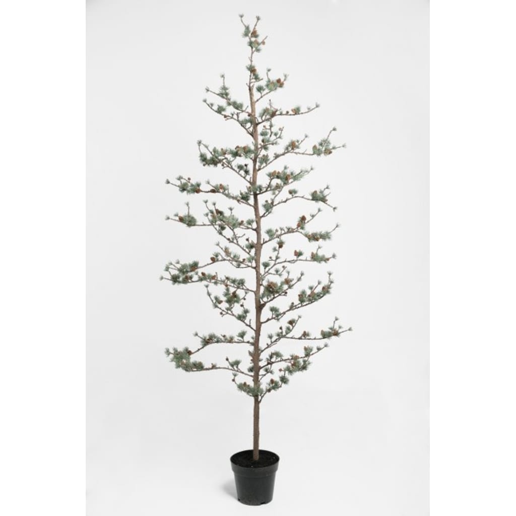 Lerketre i potte 180cm