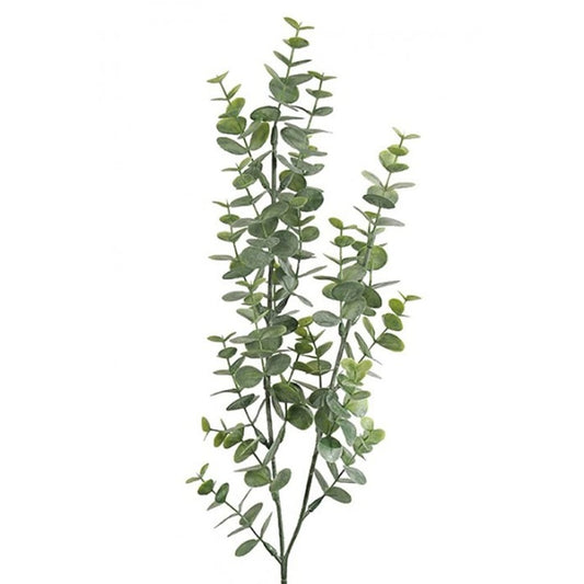 Eukalyptusgren 74cm