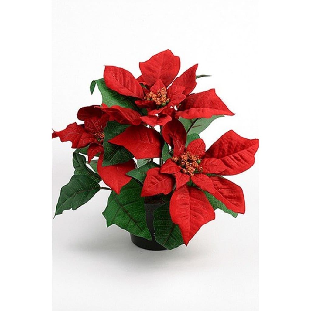 Julestjerne 26cm Rød