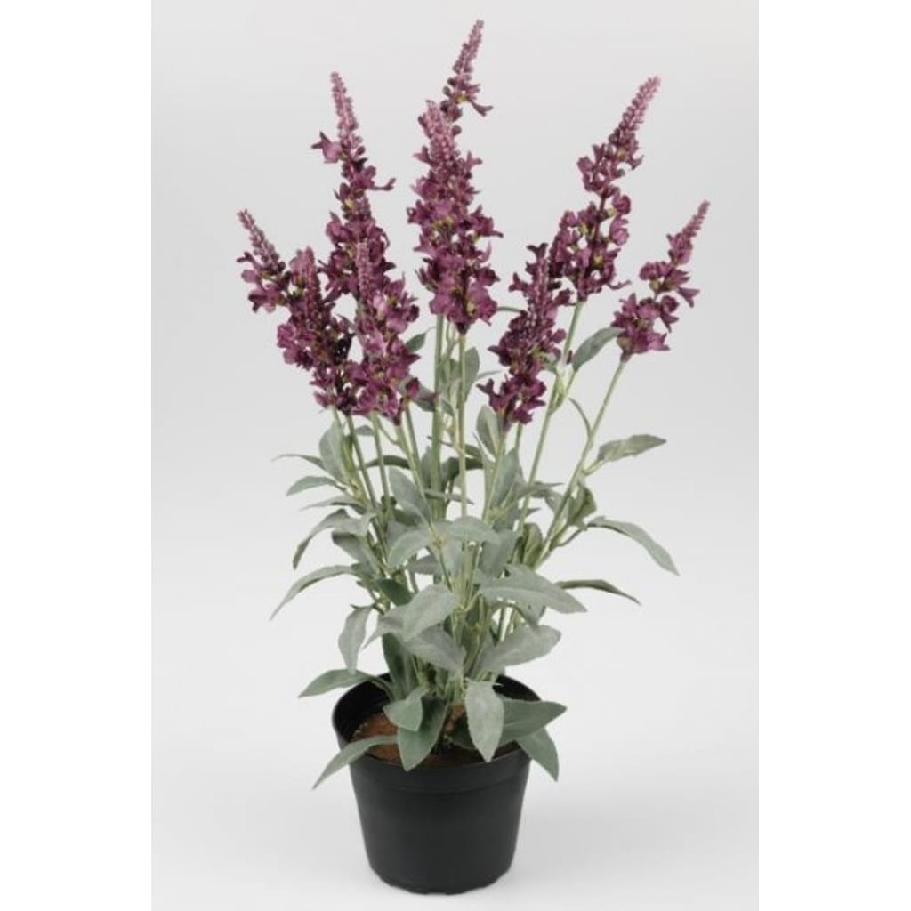 Veronica 46cm lilla