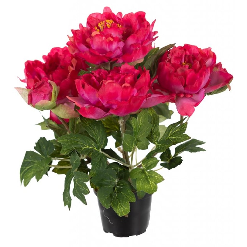 Pion 35cm rød